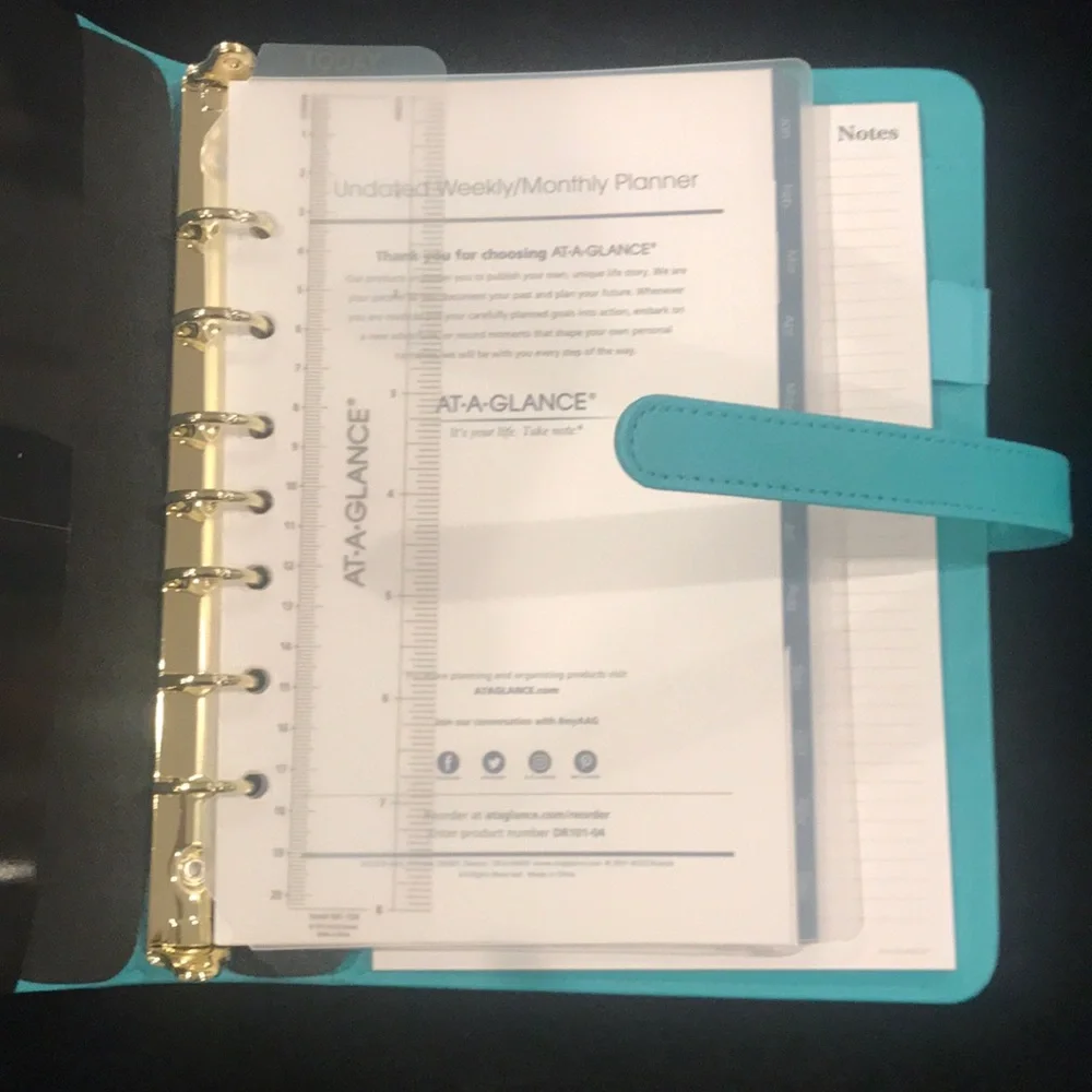 At a Glance Undated weekly monthly planner